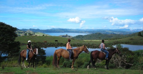 Twin Oaks Riding Ranch